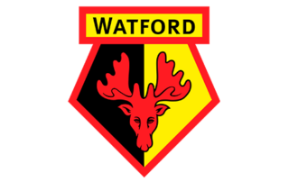 Fitness Home 22 | Fitness Home