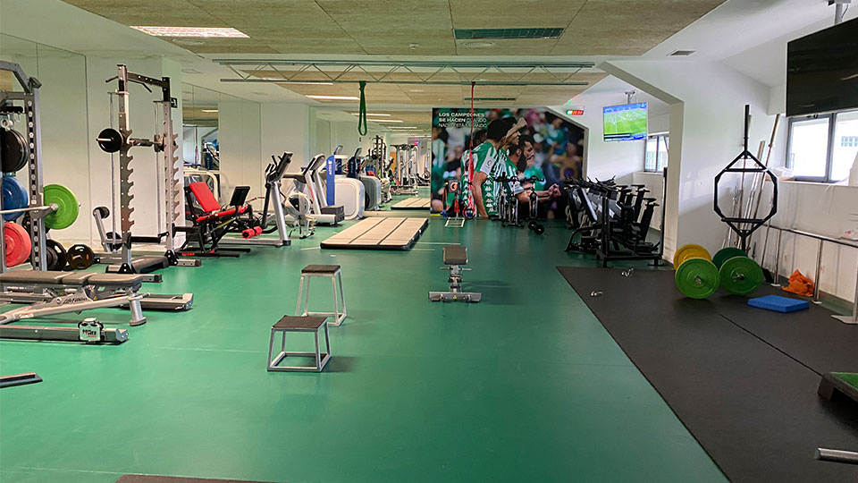 Proyecto Real Betis Balompié 3 | Proyecto Real Betis Balompié